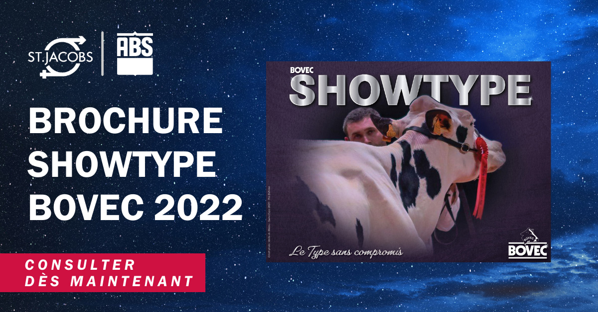 Brochure Showtype 