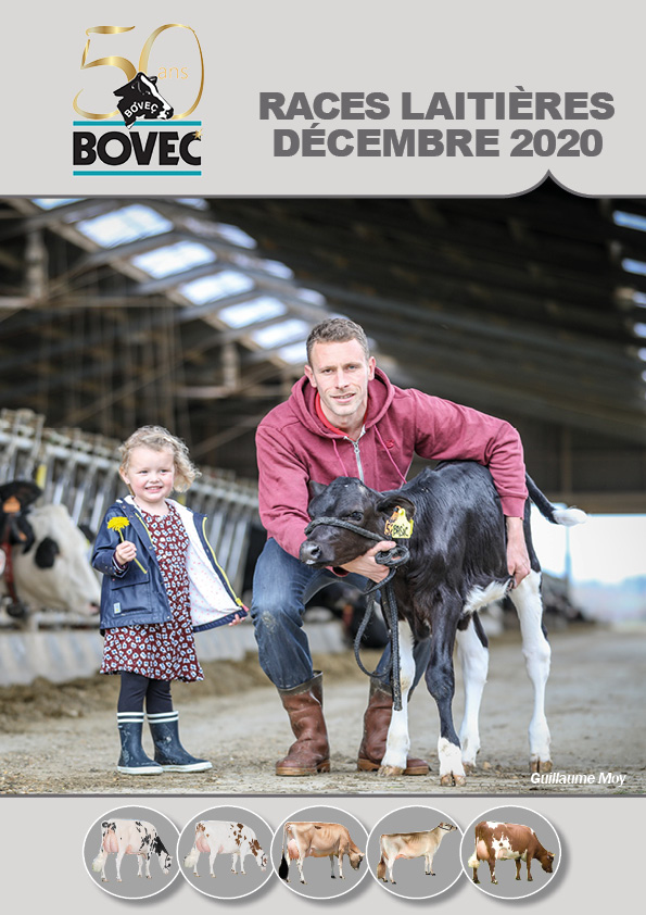 Catalogue Dairy Décembre 2020 