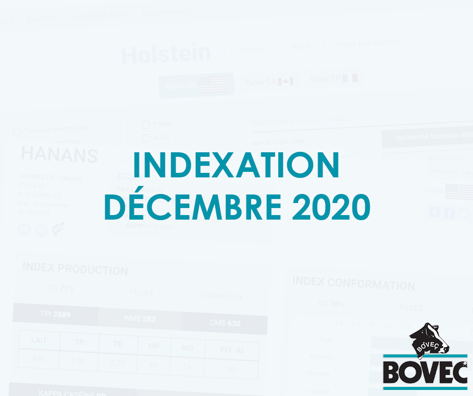 indexation décembre 2020 