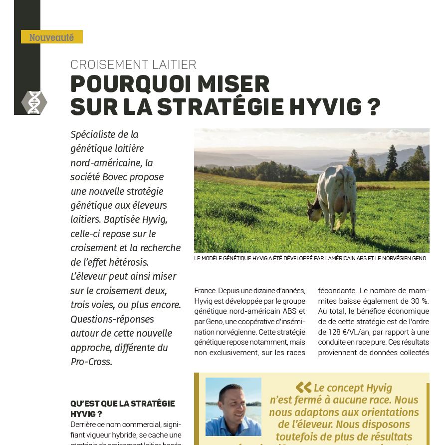 Article HYVIG - Grands Troupeaux 